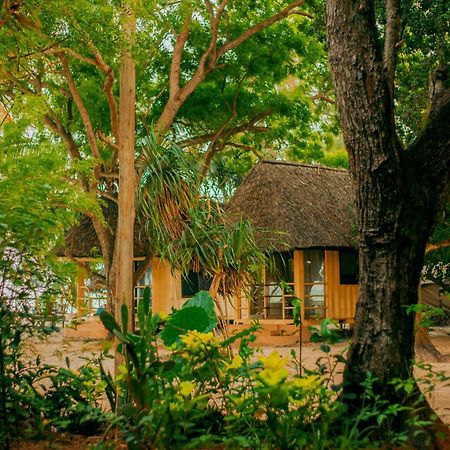 Hostel Mikadi Beach Camp&Backpackers Daressalam Exterior foto