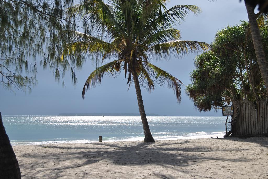 Hostel Mikadi Beach Camp&Backpackers Daressalam Exterior foto